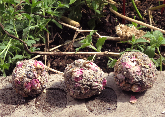 Do it Yourself Seed Bombs for Wildflowers & Guerrilla Gardening.